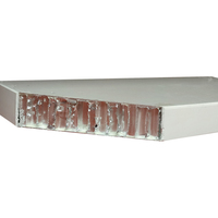 Panneau alvéolaire en aluminium de 7 mm revêtu de PVDF, haute planité, format A4, système de plafond 30-20, revêtement léger, panneau composite à âme légère