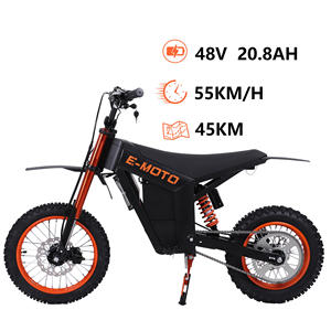 Motocicleta Eléctrica 2026 en Stock en Almacén de EU, Batería de Litio de 30AH, Motor sin Escobillas de 3000W, Autonomía de 55km - Product Image 1