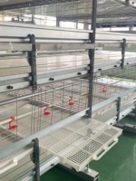 Plancher à lamelles blanc en plastique stable pour cages à poulets de chair automatiques