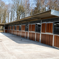 Box à chevaux galvanisé économique pour l'extérieur, écurie préfabriquée robuste, abri pour chevaux