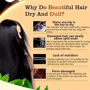 Afro OEM logotipo personalizado <span class=keywords><strong>Champoo</strong></span> al por mayor Etiqueta Privada producto libre de sulfato orgánico cuidado del cabello aceite de argán champú - Product Image 6