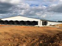 Poulailler en structure acier de grande envergure avec système de ventilation et silo à alimentation, design ferme pour l'élevage avicole commercial