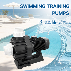 <span class=keywords><strong>Pompe</strong></span> d'entraînement haute puissance WASSERMANN pour système de nage contre-courant - Product Image 1