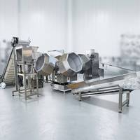 Machine de torréfaction continue haute capacité pour noix, rôtissoire industrielle à bande pour l'usine de transformation des arachides, amandes, noix et noix de cajou
