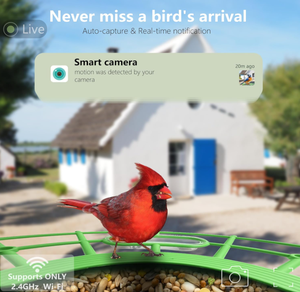 Caméra pour mangeoire à <span class=keywords><strong>oiseaux</strong></span> avec poteau de 75 pouces, carte SD 32 Go, reconnaissance des espèces d'<span class=keywords><strong>oiseaux</strong></span> par IA, alimentation solaire, vidéo HD 2K, ABS durable et léger - Product Image 5