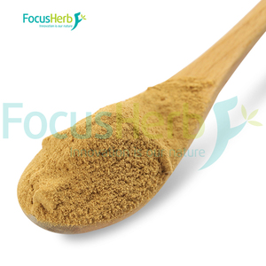 สารสกัดเห็ดไมตาเกะ โฟกัสเฮิร์บ ยูเอสเอ แวร์เฮาส์ สปอต 30% โพลีแซ็กคาไรด์ เกรดอาหารชนิดผง - Product Image 2