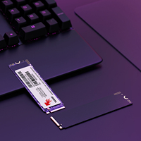 TARGET M2 1TB PCIe NVMe 2280MM M.2 SSD Cangkang Plastik Internal Nirkabel untuk Laptop/Desktop