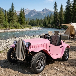 Carrello da Golf Elettrico Vintage Liqian, <span class=keywords><strong>Auto</strong></span> d'Epoca Curtis a 2 Posti, Stile Classico Antico con Elevata Stabilità, Prezzo Conveniente - Product Image 1