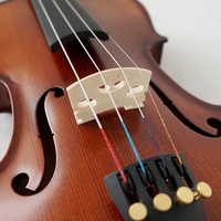 Sinomusik Brand High Quality String Instrument Handmade Red Brown Ebony Fittings Carved Spruce Top Flame Maple Advanced Violin