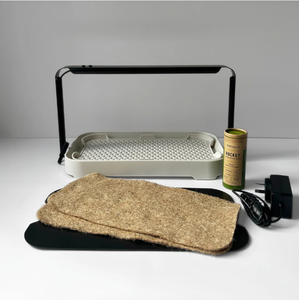 Kit de culture de germination de qualité supérieure et regrower d'oignons verts avec 2 bocaux Mason et couvercles de germination en fibres végétales supérieures. - Product Image 2