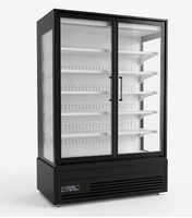 Réfrigérateur vitrine vertical à 2 portes en verre pour supermarché, boissons et aliments