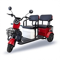 Vente en gros transfrontalière : Phares de voiture 48V haute luminosité pour tricycle électrique à trois places, avec cadre sur mesure et autonomie longue durée, robustes