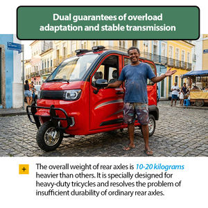 Tricycle Motorisé à Essence 200cc, Direct Usine Chine, Homologué CEE, pour Transport de Passagers et Usage Quotidien – Offre Commerciale - Product Image 5