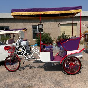 Vélo à trois roues à propulsion humaine, style vintage européen, pour le tourisme, multi-places, personnalisable, à prix abordable - Product Image 2