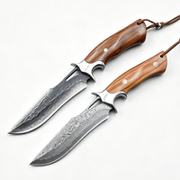 Couteau à lame fixe en acier Damas VG10 de qualité supérieure, manche en bois de rose fait main, couteau de camping en plein air, couteau de chasse pour collection