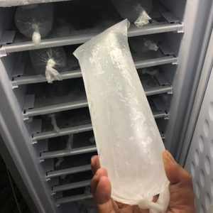 Năng lượng mặt trời Ice Maker AC/DC Adapter 24V thương mại năng lượng mặt trời Ice Block panel năng lượng mặt trời Gel pin 72kg/24 giờ Máy làm đá - Product Image 2