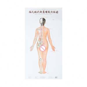रेन की आधुनिक एक्यूपंक्चर और Embedding बिंदु आरेख Acupoint दीवार चार्ट शरीर एक्यूपंक्चर अंक मध्याह्न नक्शा - Product Image 2