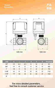 Valvola a Sfera Elettrica in Ottone Impermeabile IP65 da 2 Pollici, Tipo a 2 Fili Normalmente Chiusa, AC220V/DC12-24V, Sostituzione Valvola Solenoide - Product Image 5
