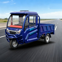 Offre Spéciale Tricycle électrique multifonctionnel Véhicule de transport agricole à trois roues pour passagers et marchandises 3