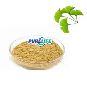 Organik Maidenhair ağacı Ginkgo yaprak Biloba özü tozu