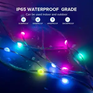 RGB Individually Addressable Chasing Color Smart Fairy String Light PVC Wire 60LEDs DC5V for Bedroom Wedding Party Decor IP65