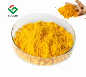 Wasser lösliches Curcumin Kurkuma Curcumin Hochwertiger Kurkuma-Wurzel extrakt 95% Curcumin