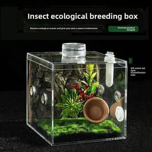 Neue Hochdurchlässige Mehlwurm-Ökobox mit Hoher Transparenz, Rechteckig, für Heuschrecken, Spinnennägler und Marienkäfer - Product Image 5