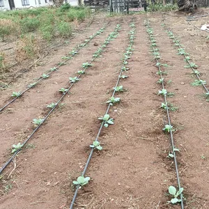 Tuyaux d'irrigation goutte à goutte, bande d'irrigation goutte à goutte 16 mm, système d'irrigation, tuyau d'irrigation de 2 pouces, bandes d'irrigation goutte à goutte - Product Image 1