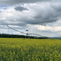 Système d'irrigation agricole pivotant mobile à prix d'usine avec arroseur final à vendre