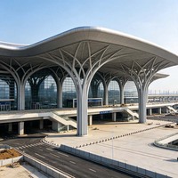 Edificios con Estructura de Acero de Forma Especial para Estaciones de Tren de Alta Velocidad y Centros de Transporte, con Diseño de Gran Tragaluz y Estructura Sísmica