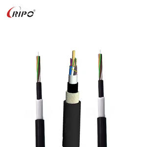 Cable de fibra óptica anti-roedores blindado de hilo FRP no metálico de 2-24 núcleos CE RoHS - Product Image 1