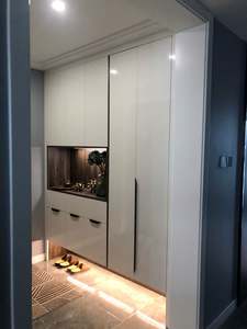 Custom Modern Style Shoe Cabinet Durable Living Room Furniture for Apartment Hotel Eco-Friendly Materials Large Capacity Space - Product Image 3