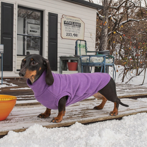 Wholesale Quality Elegant Classic Luxury Small Dachshund <strong>Dog</strong> Christmas Spring Jumper Winner <strong>Sausage</strong> <strong>Dogs</strong> Fleece Fabric <strong>Clothes</strong> - Product Image 6