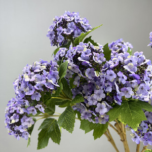 Ramo Decorativo <span class=keywords><strong>de</strong></span> Hortensias Artificiales para Decoración <span class=keywords><strong>de</strong></span> Oficina, Jardín y Hogar, Flores Artificiales <span class=keywords><strong>de</strong></span> Plástico, Plantas Artificiales - Product Image 3