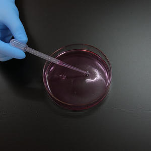 طبق زراعة من WEIAI عالي الجودة للبكتيريا الخلوية والكائنات الحية الدقيقة في المختبر 60 صحن بتري زجاجي شفاف من البلاستيك 90 من WEIAI معقم - Product Image 5