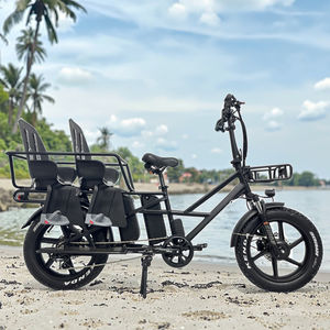 Vélo électrique de livraison à pneus larges personnalisé 48V 15Ah 20Ah avec double batterie et sièges pour bébés - Product Image 5
