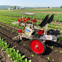 Twee-rijige zelfrijdende groenteplantmachine met verstelbare plantdiepte voor paprika's, tomaten en kool