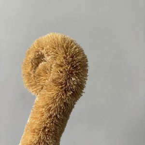 Eco-Friendly Coconut Palm <b>Brush</b> Beech Wood Handle Kitchen Scrubber for Pots Pans - Product Image 2