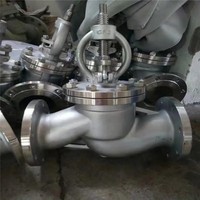 Vanne à soupape en acier inoxydable ASTM A182 F316L à joint à soufflet en Y pour vapeur haute température