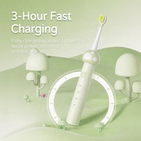 Brosses à dents électriques personnalisées de haute qualité pour enfants, vente en gros, brosses à dents rechargeables fantaisie pour enfants
