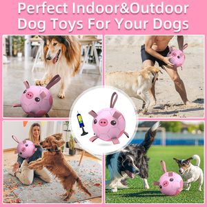 KINYU eco-friendly TPR cane pallone da calcio rimorchiatore giocattolo per cani di taglia media/grande da 8 pollici tinta unita regalo di capodanno giocattoli per animali - Product Image 4