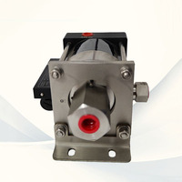 Pompe à piston pneumatique de haute qualité 10-28MPA pour l'industrie automobile Transfert de liquide haute pression Haskel similaire