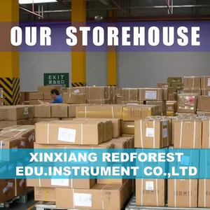 Modello di gallina animale da fattoria modello di pollo femminile modello animale anatomico veterinario - Product Image 6