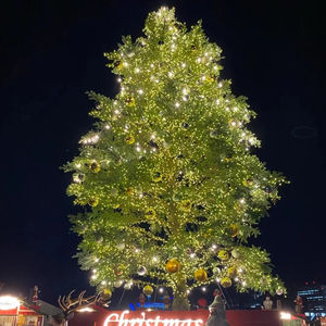 Albero di Pino Artificiale Grande 2,5M, Bonsai di Pino Finto, <span class=keywords><strong>Prezzo</strong></span> di Fabbrica all'Ingrosso - Product Image 3