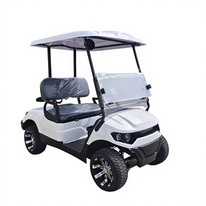 Carrito de Golf Eléctrico para 2 Pasajeros - Product Image 1