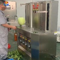Fengxiang FXP-99 Dubbele Koppen Fruit- en Watermeloen Schilmachine 1.7KW 300-480 stuks/uur Capaciteit Commercieel Gebruik Hoog