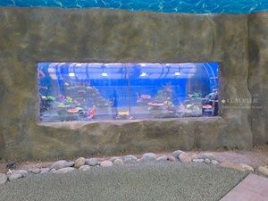 Aangepaste Grote Woonkamer <span class=keywords><strong>Aquarium</strong></span> <span class=keywords><strong>Aquarium</strong></span> Acryl Groot <span class=keywords><strong>Aquarium</strong></span> <span class=keywords><strong>Aquarium</strong></span> - Product Image 6