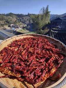 High Quality Dried Red <strong>Chilli</strong> Whole Pods 25kg Bulk From Sichuan China For Food Processing Seasoning - Product Image 5