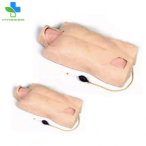 Đầy Đủ Chức Năng PVC Trung Tâm Tĩnh Mạch Tiêm Thân Mô Hình Y Tế Đào Tạo Lâm Sàng Giáo Dục Khoa Học Trung Tâm Tĩnh Mạch Tiêm - Product Image 3