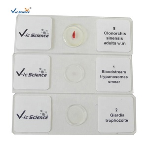 Microscopio de vidrio de Parasitología de ciencia médica, portaobjetos preparados, portaobjetos de alta calidad para estudios de parasitología - Product Image 1